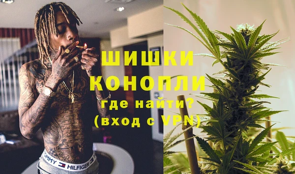 сатива Бронницы