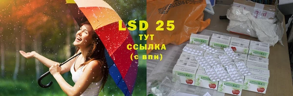 шишки Бородино