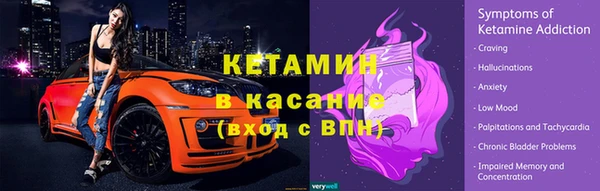 шишки Бородино