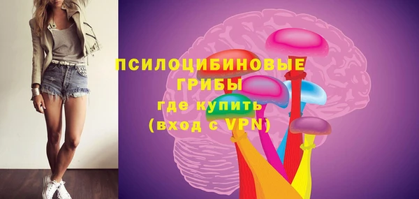 шишки Бородино