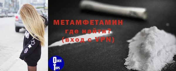 шишки Бородино