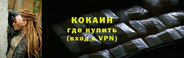 шишки Бородино