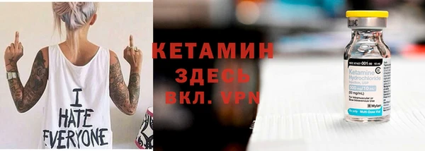 шишки Бородино