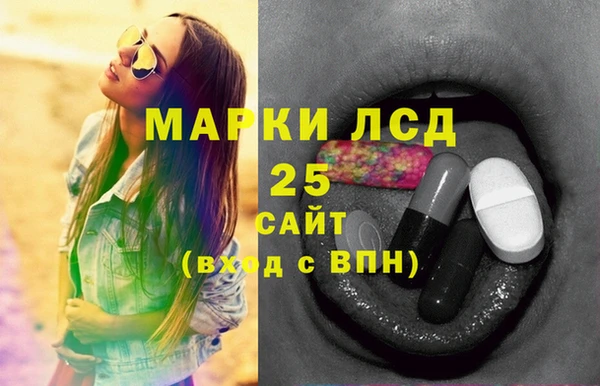 шишки Бородино