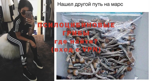 шишки Бородино