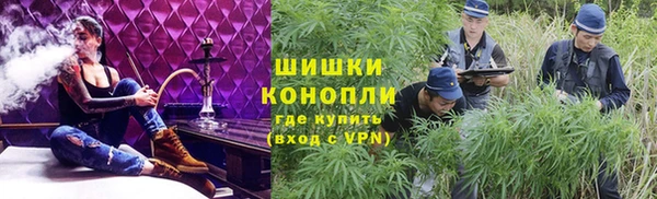 сатива Бронницы