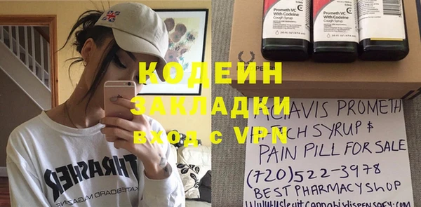 шишки Бородино