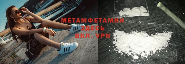 шишки Бородино