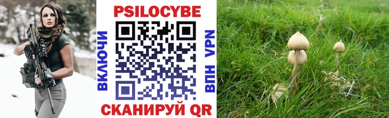 Псилоцибиновые грибы ЛСД  купить  сайты  Вологда 